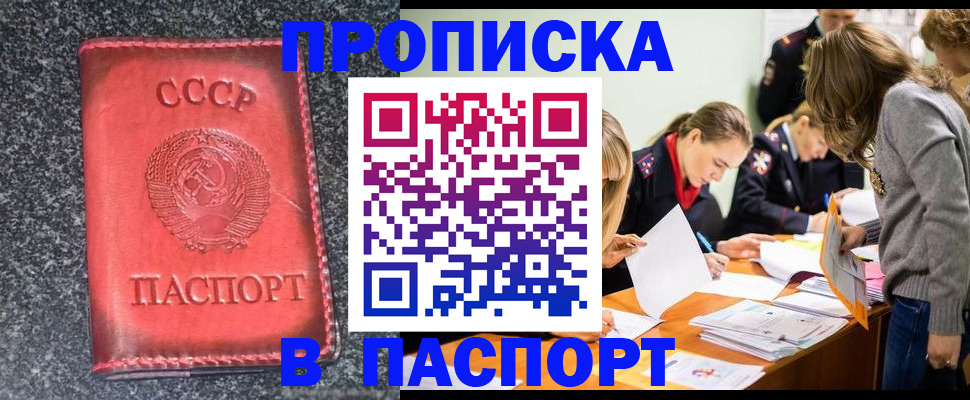 прописка для школы в Старой Руссе